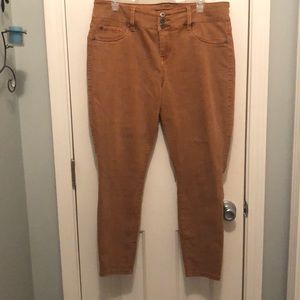Coffee Brown Torrid Skinny Jeans - 16S